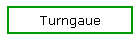 Turngaue