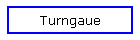 Turngaue